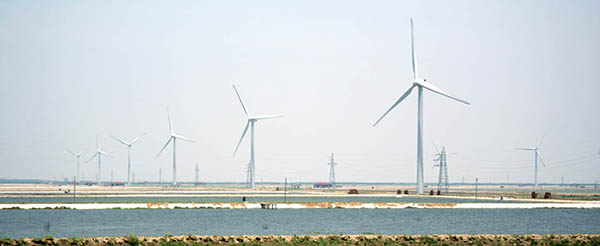 电子游戏十大正规官方网址