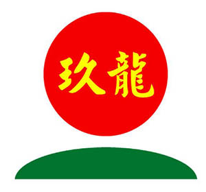 电子游戏十大正规官方网址