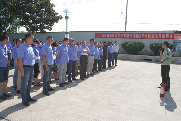 电子游戏十大正规官方网址