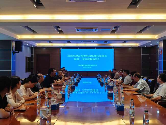 云南省电线电缆行业协会考察团来公司考察调研